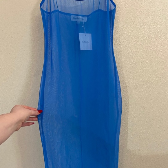 The Naked Tiger Sheer Dress - Picture 6 of 10